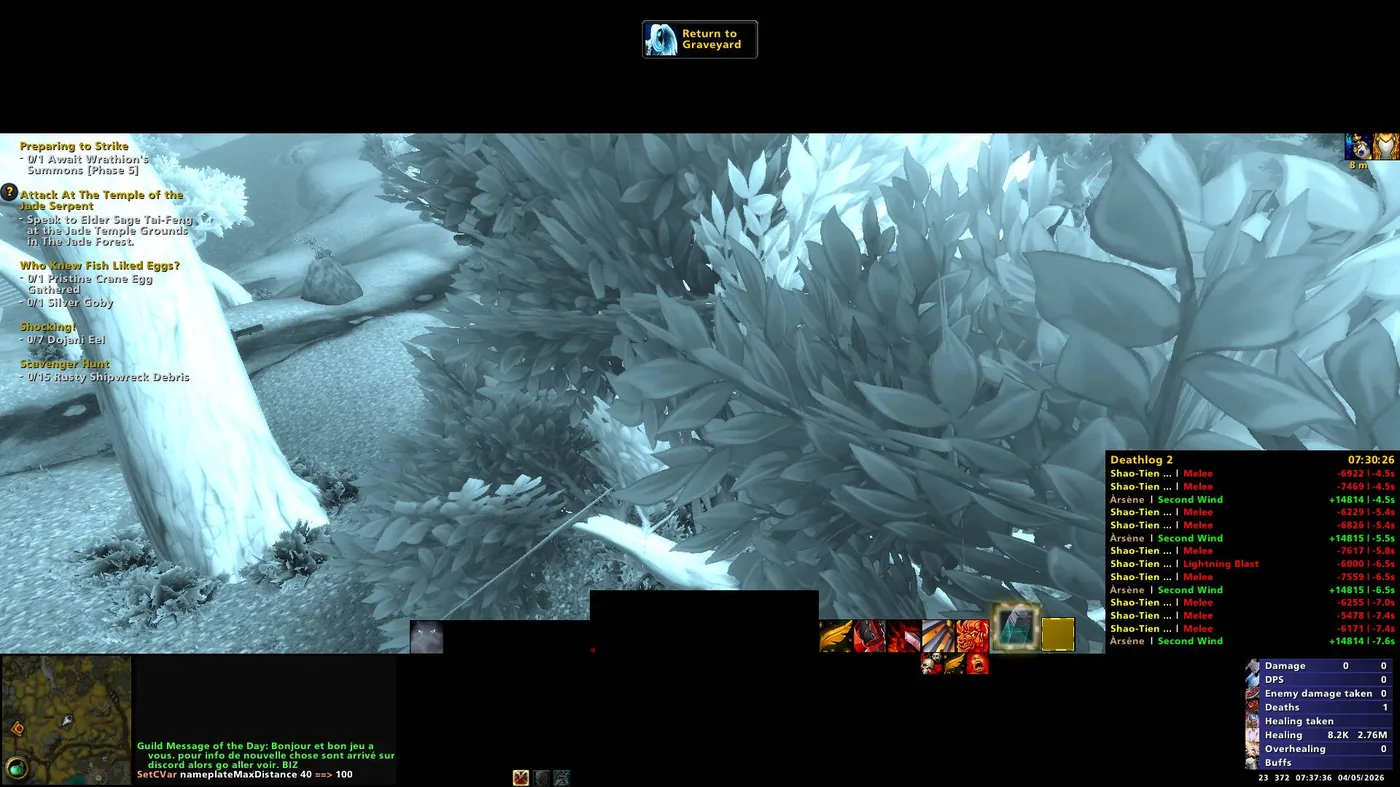 Death screen view